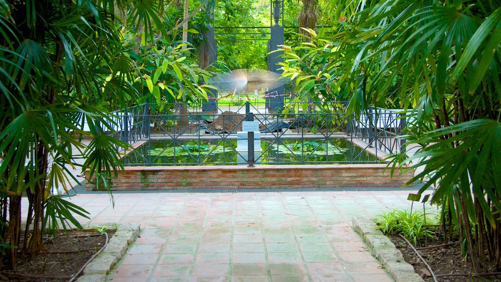 Jardín Botánico de Valencia que incluye un jardín