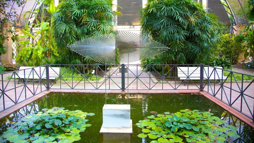 Botanische tuinen van Valencia toont een vijver en een park