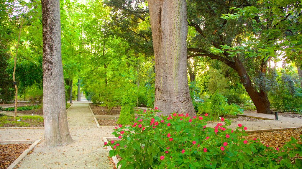 Botanische tuinen van Valencia bevat een park en bloemen