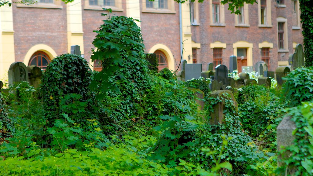 Jewish Cemetery featuring religious elements and a cemetery