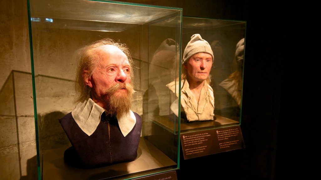 Vasa Museum featuring interior views