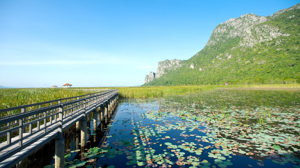 Sam Roi Yot National Park which includes landscape views, wetlands and mountains