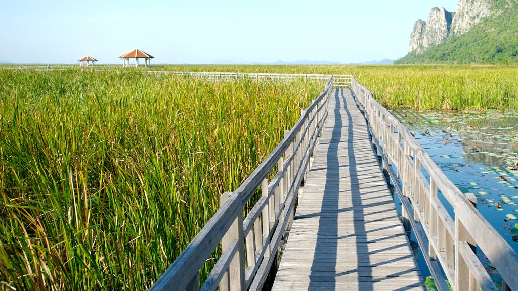 Khao Sam Roi Yot National Park featuring wetlands, a bridge and landscape views