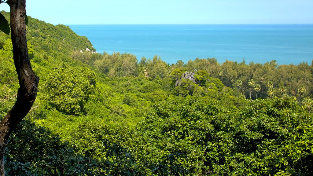 Khao Sam Roi Yot National Park ofreciendo vistas generales de la costa, escenas forestales y vistas de paisajes