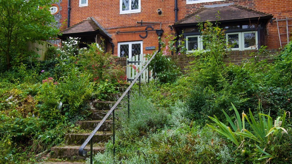 Eynsford showing a garden and a house