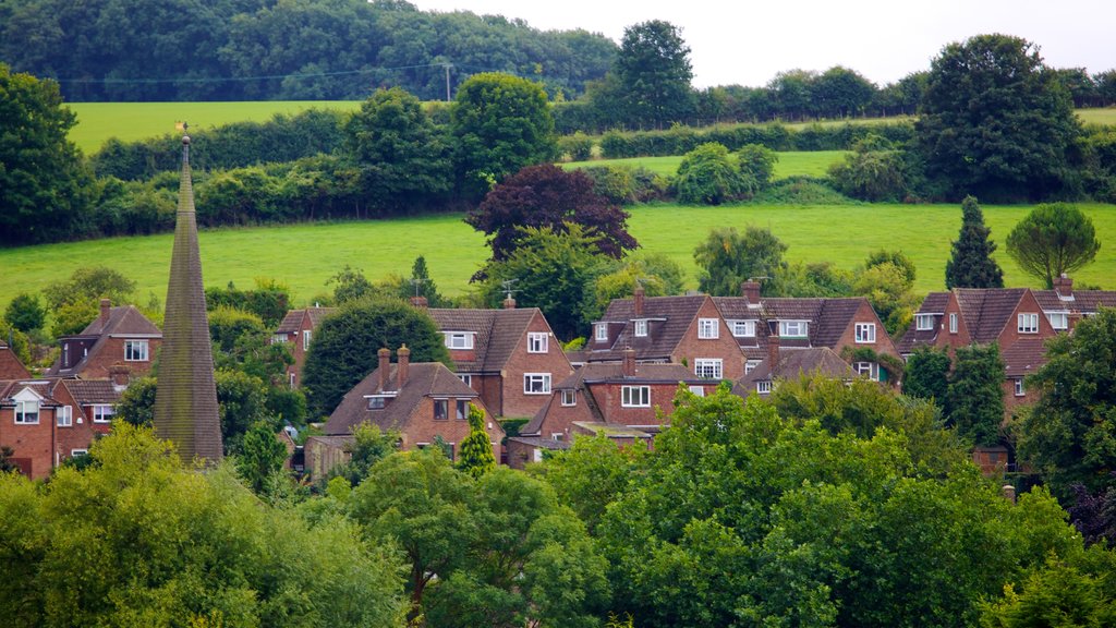 Eynsford showing a small town or village, a house and heritage architecture