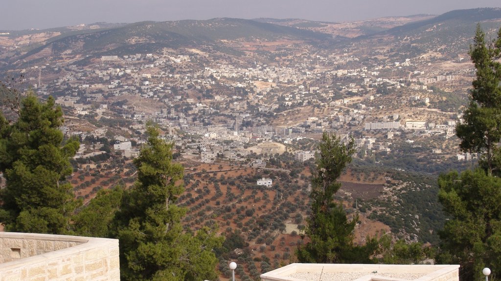 Ajloun mostrando vista panorámica, una ciudad y escenas tranquilas