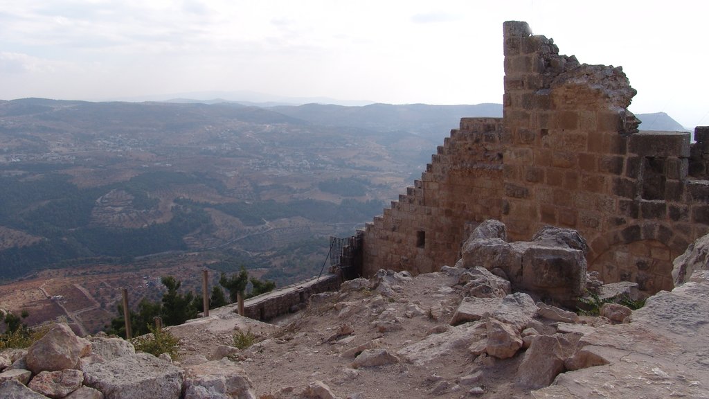 Ajloun ofreciendo ruinas de edificios, patrimonio de arquitectura y elementos del patrimonio