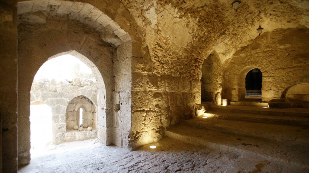 Castello di Ajloun che include vista interna e architettura d\'epoca