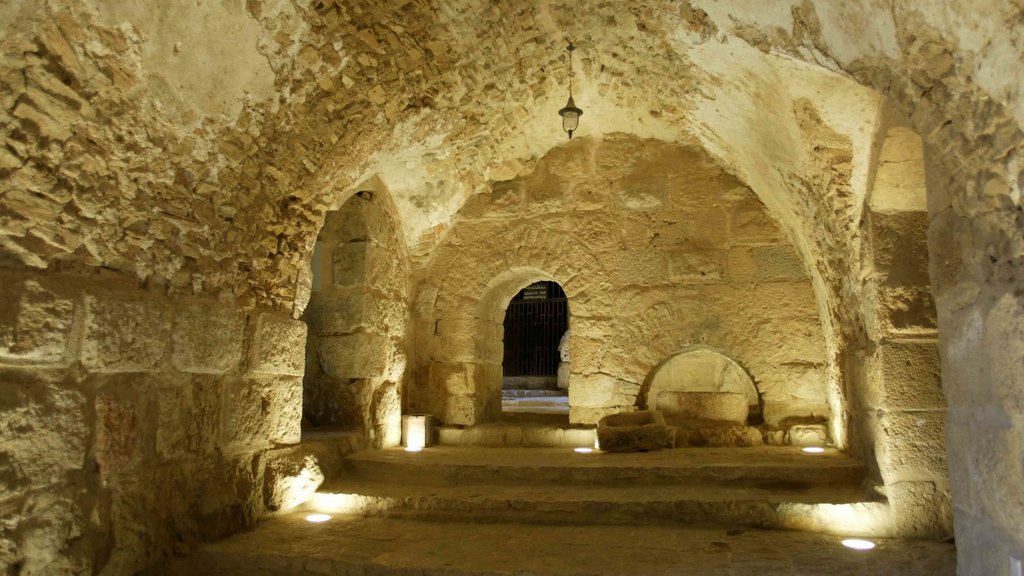 Castillo de Ajloun que incluye arquitectura patrimonial y vista interna