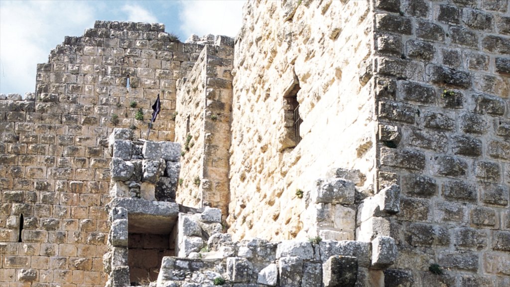 Castillo de Ajloun mostrando ruinas de edificios y patrimonio de arquitectura