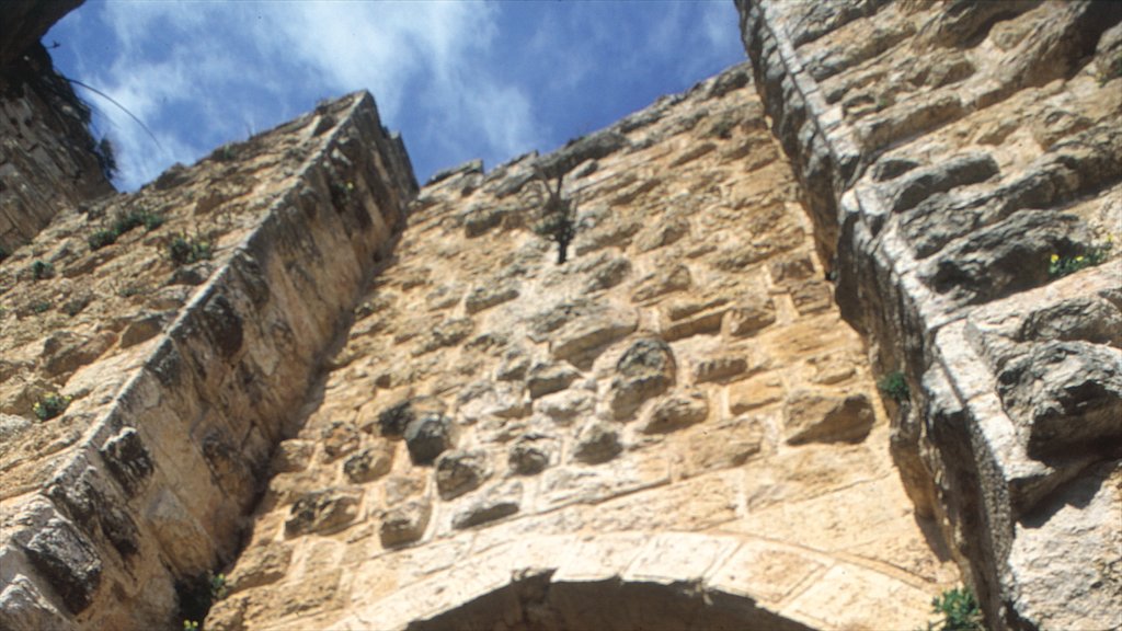 Burg von Ajloun mit einem historische Architektur und Gebäuderuinen