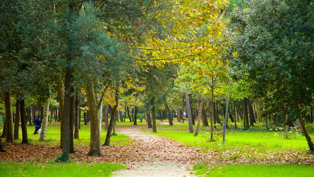 Pineta di Ponente showing fall colors and a garden