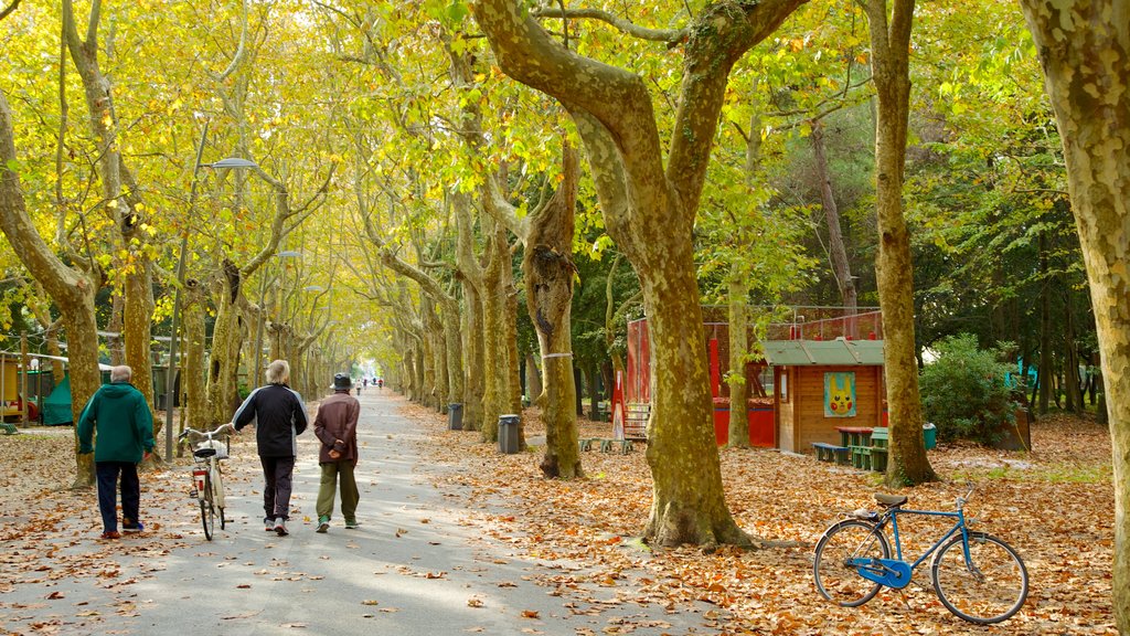 Pineta di Ponente mostrando ciclismo, los colores del otoño y un jardín