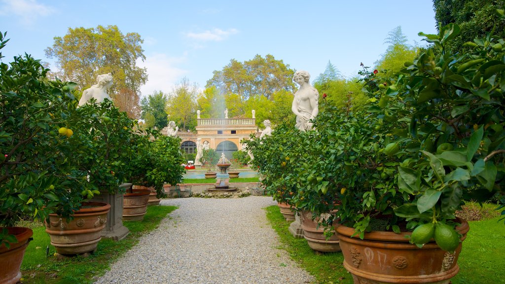 Palazzo Pfanner showing a garden and a statue or sculpture