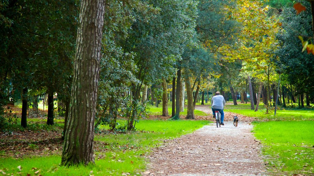 Pineta di Ponente ofreciendo un parque y ciclismo y también un hombre