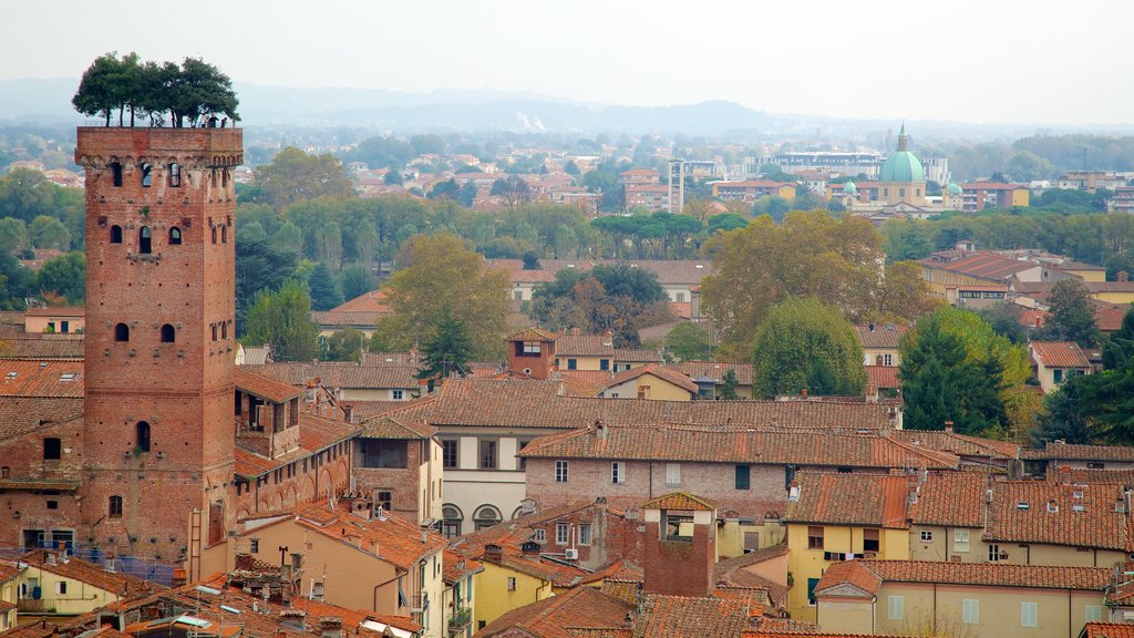 Guinigi Tower showing a city and heritage architecture