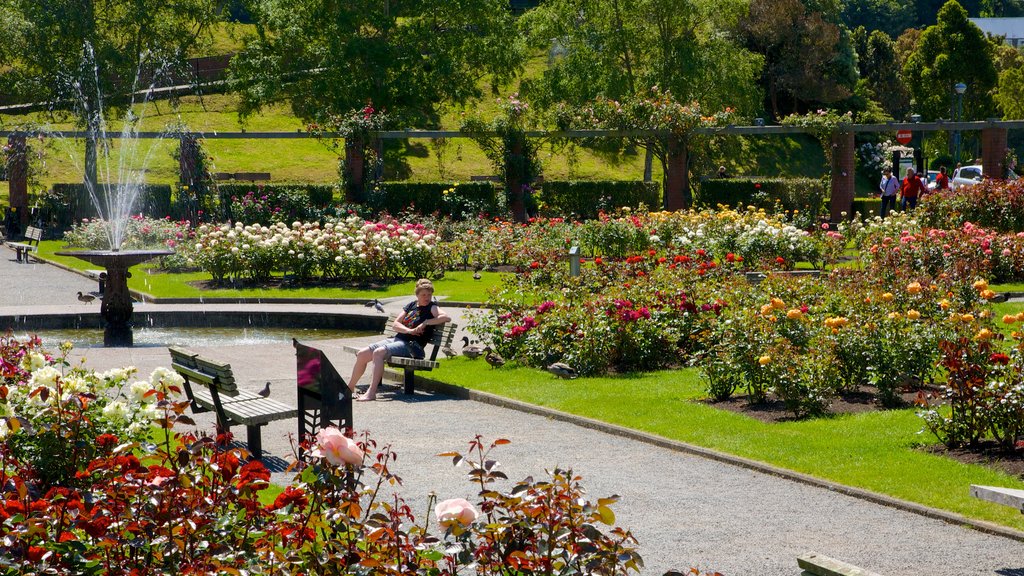 Botanic Gardens mostrando jardín, una fuente y flores