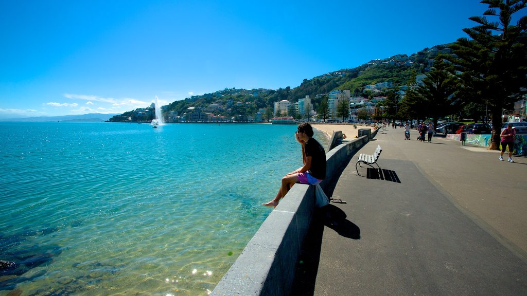 Oriental Bay Beach featuring a coastal town and general coastal views as well as an individual male