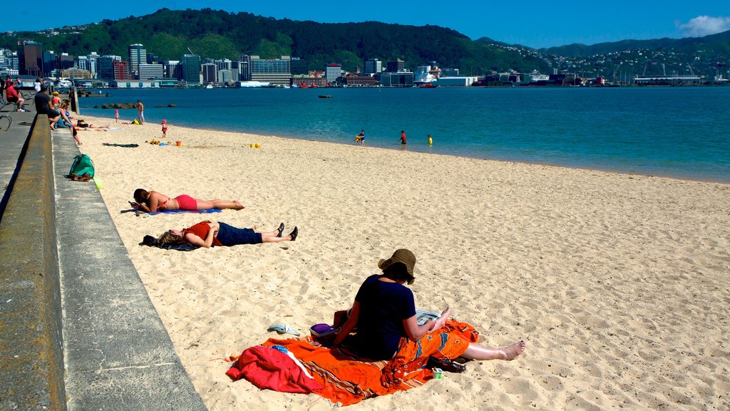 Oriental Bay Beach som omfatter en sandstrand, udsigt over kystområde og en kystby