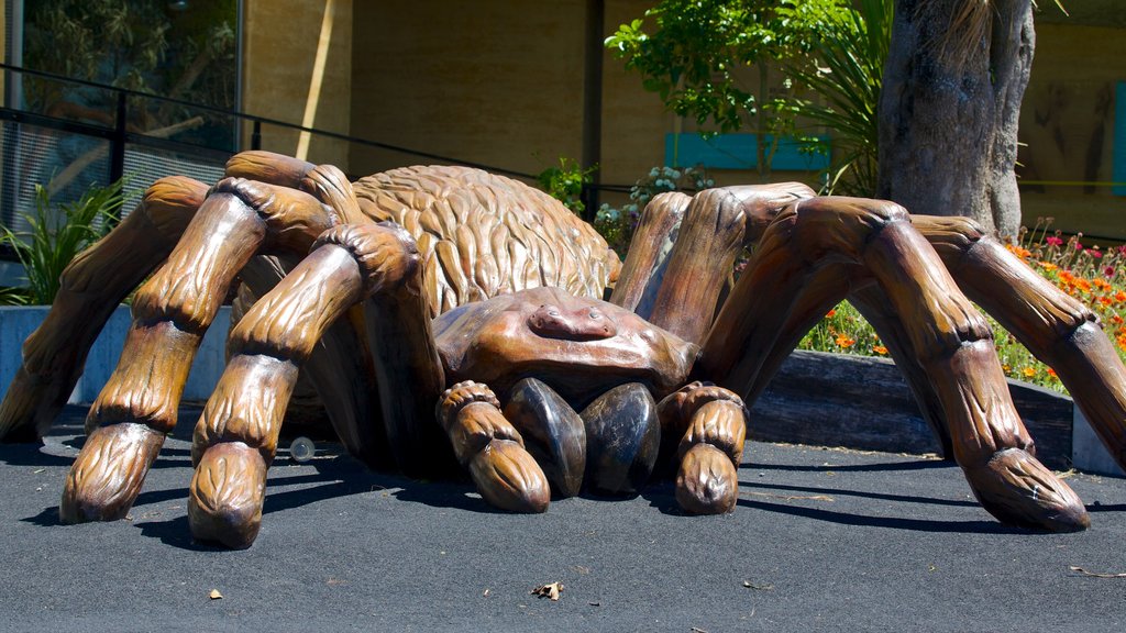 Wellington Zoo que incluye animales de zoológico y un patio de juegos