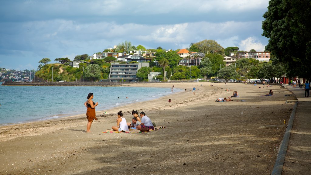 Mission Bay showing a sandy beach and a coastal town