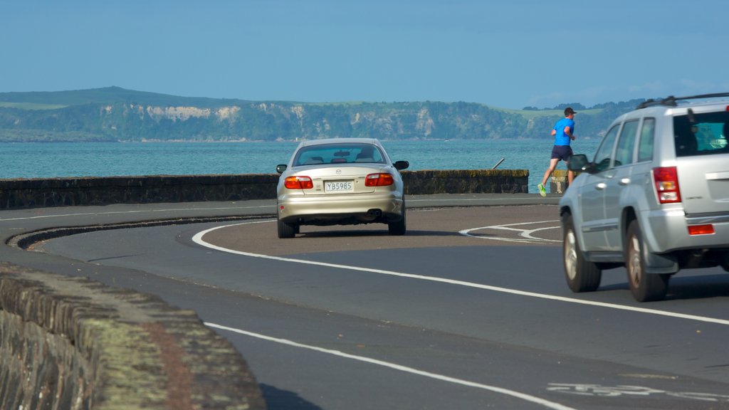 Mission Bay which includes touring and general coastal views