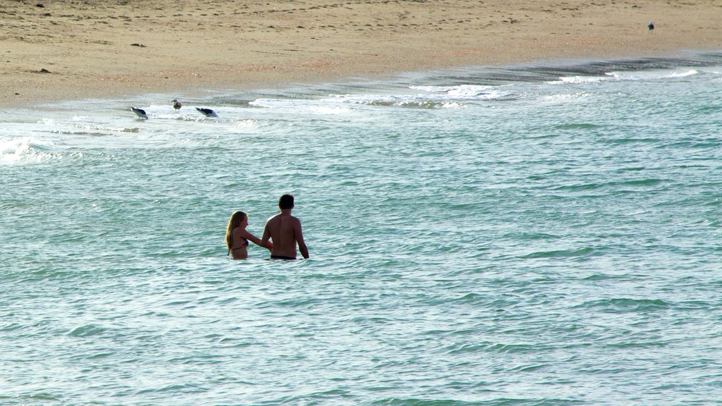 Mission Bay que incluye vistas generales de la costa, natación y una playa de arena