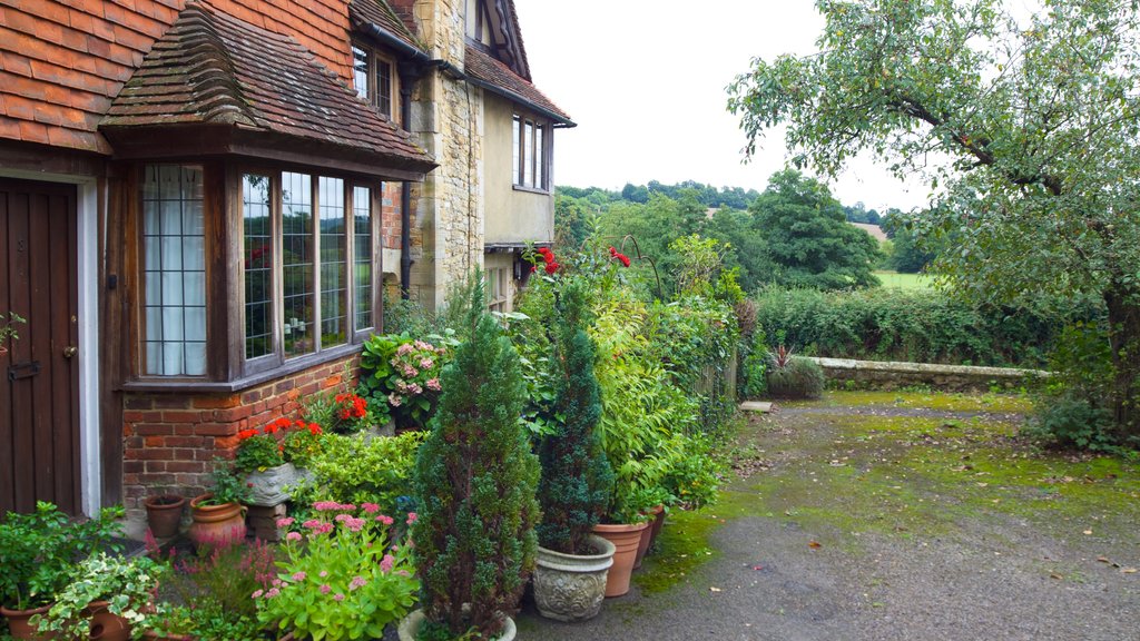 Tonbridge showing a house and a park