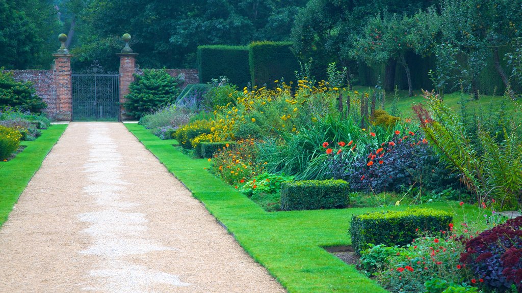 Penshurst Place and Gardens que inclui flores e um jardim