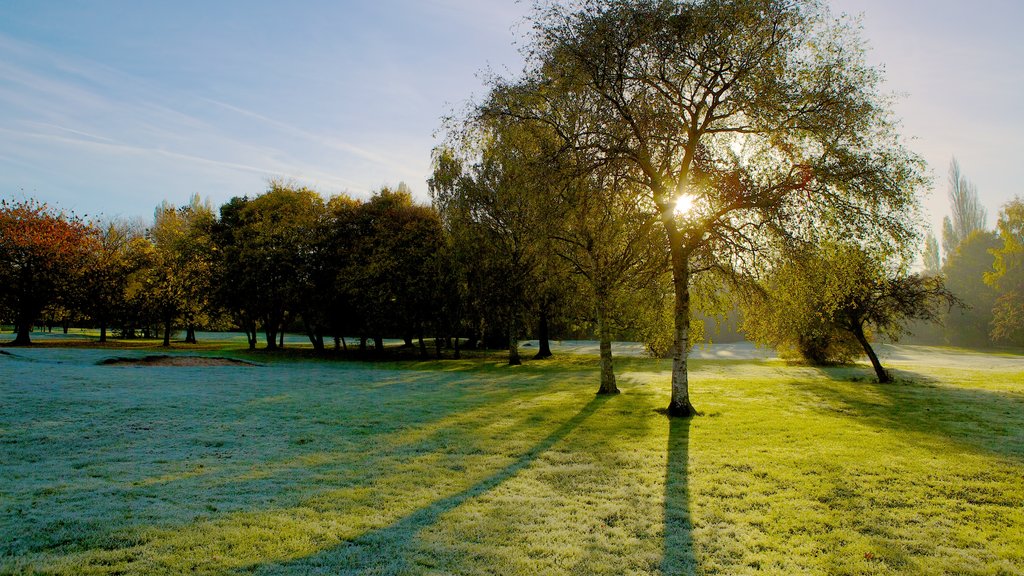 Riverside Park showing a garden, landscape views and a sunset