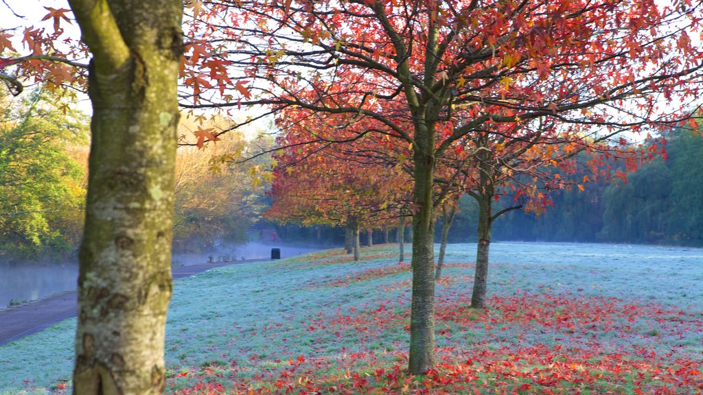 Riverside Park ofreciendo jardín y hojas de otoño