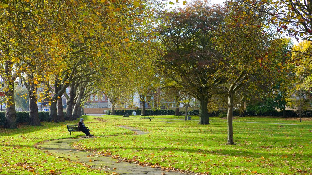 Queen\'s Park featuring autumn colours and a garden