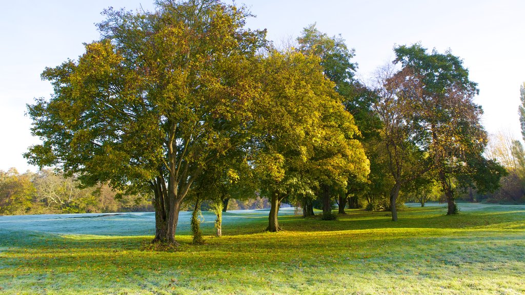 Riverside Park showing a garden