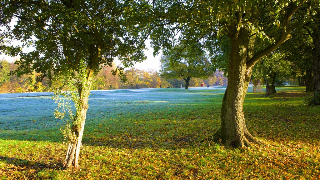 Riverside Park showing a sunset and a garden