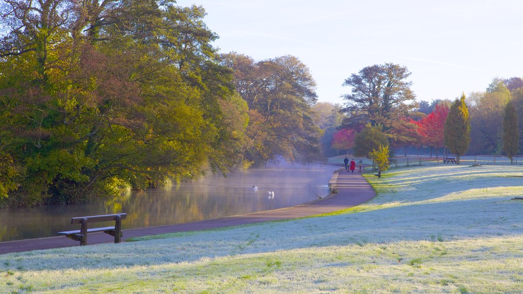 Riverside Park showing autumn leaves, a river or creek and a park