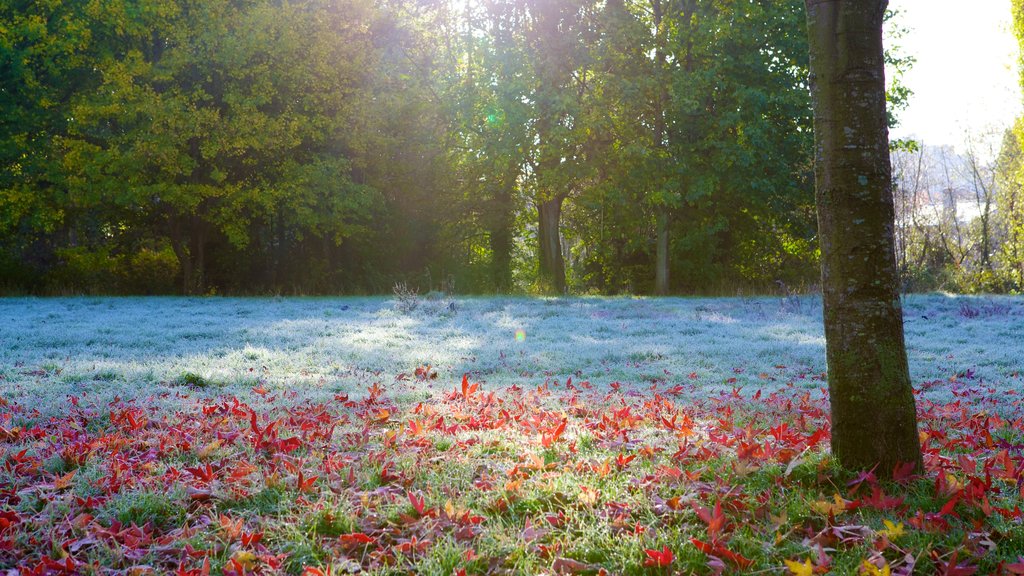 Riverside Park bevat bos, een tuin en herfstkleuren