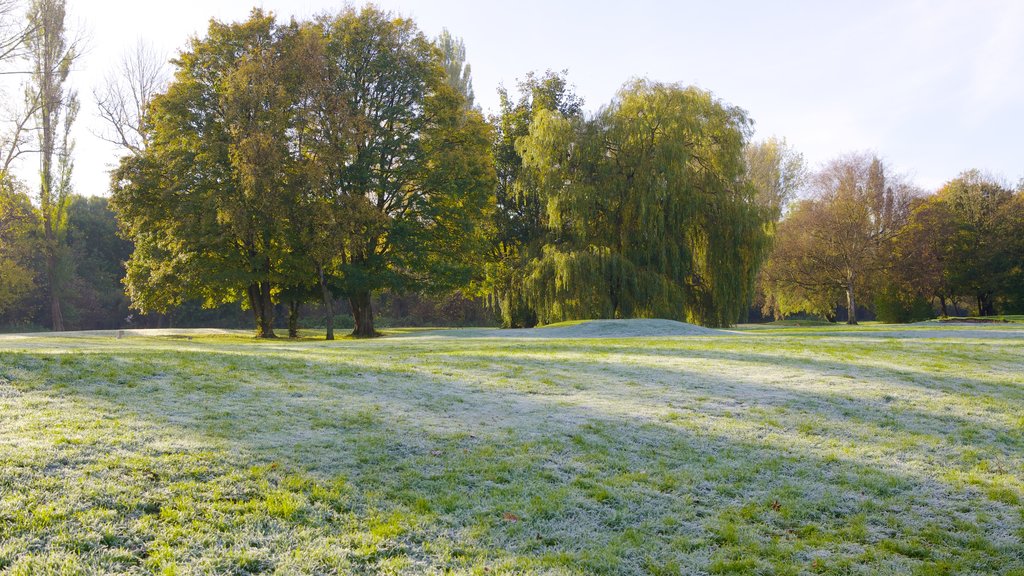 Riverside Park featuring a park