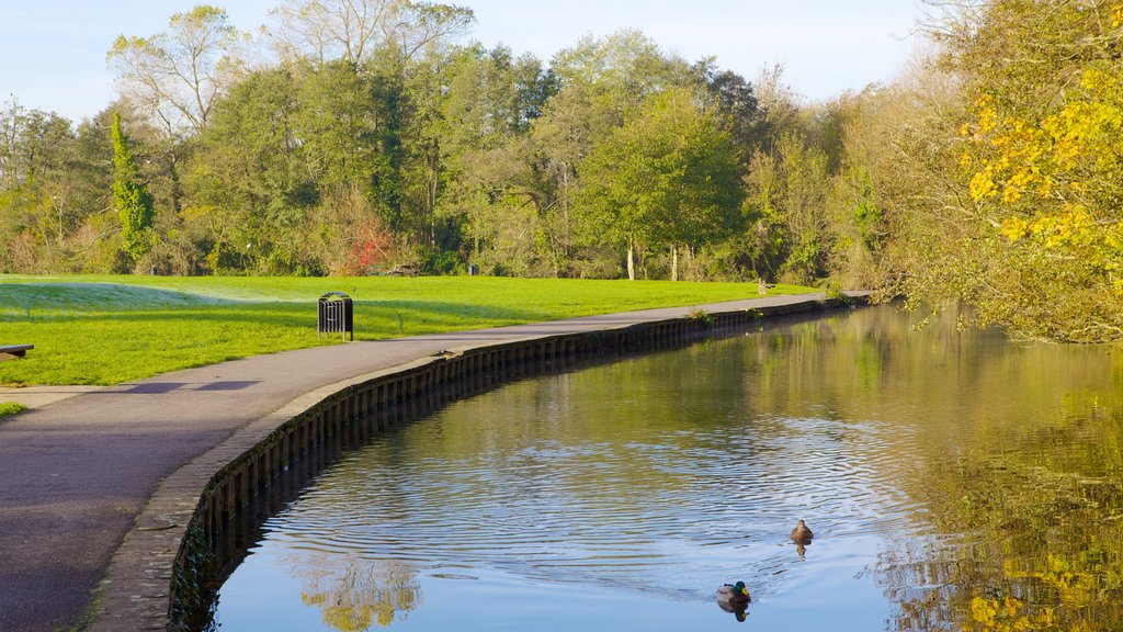 Riverside Park featuring a park, a pond and bird life