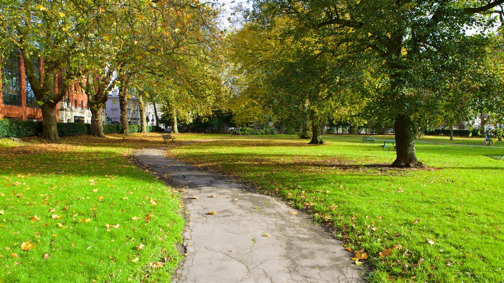 Queen\'s Park showing a garden