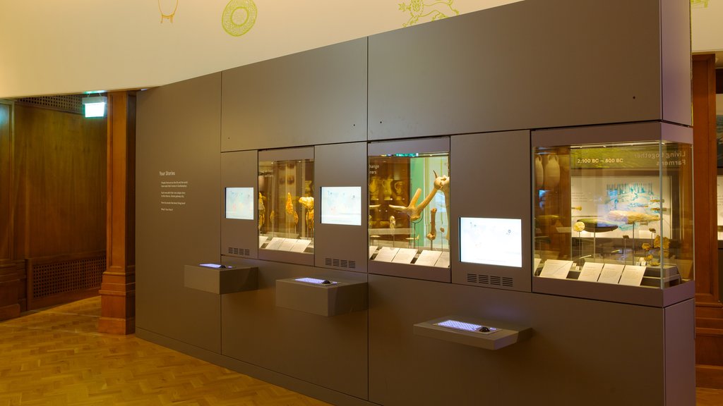 SeaCity Museum inclusief interieur