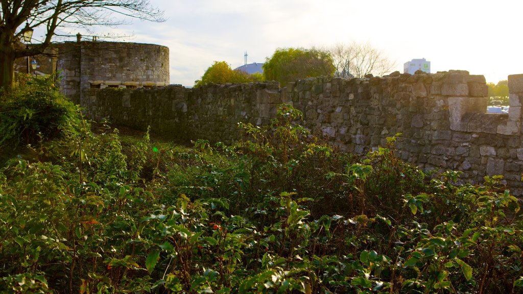 Old City Walls featuring a garden and heritage architecture