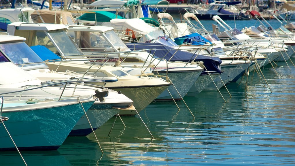 Vieux Port mostrando una marina y paseos en lancha