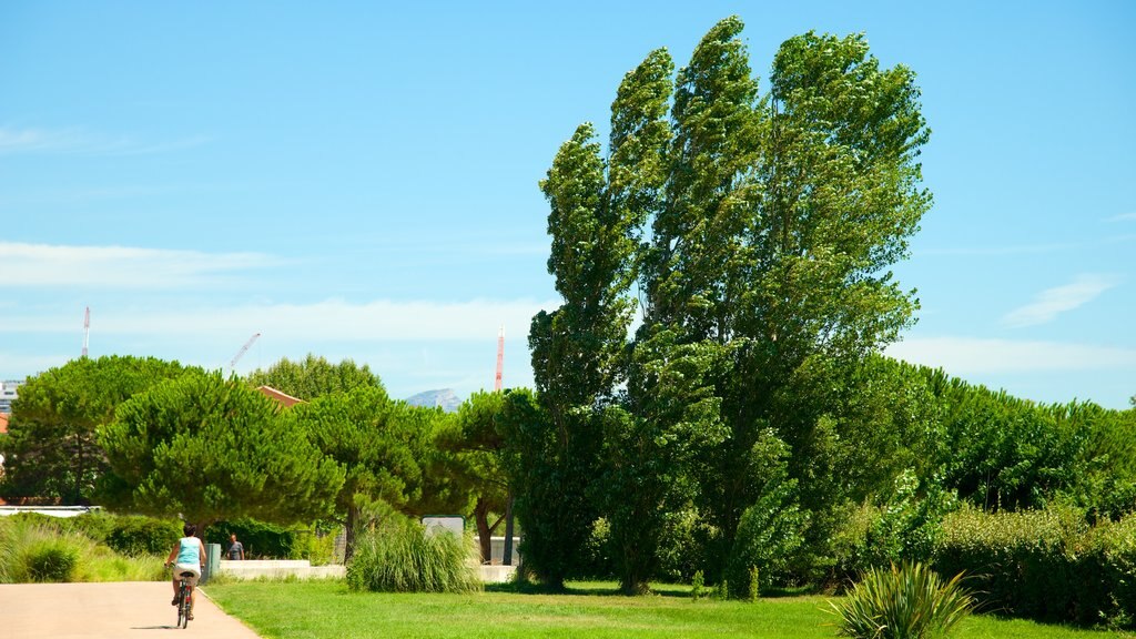 Parc Borely showing cycling and a park