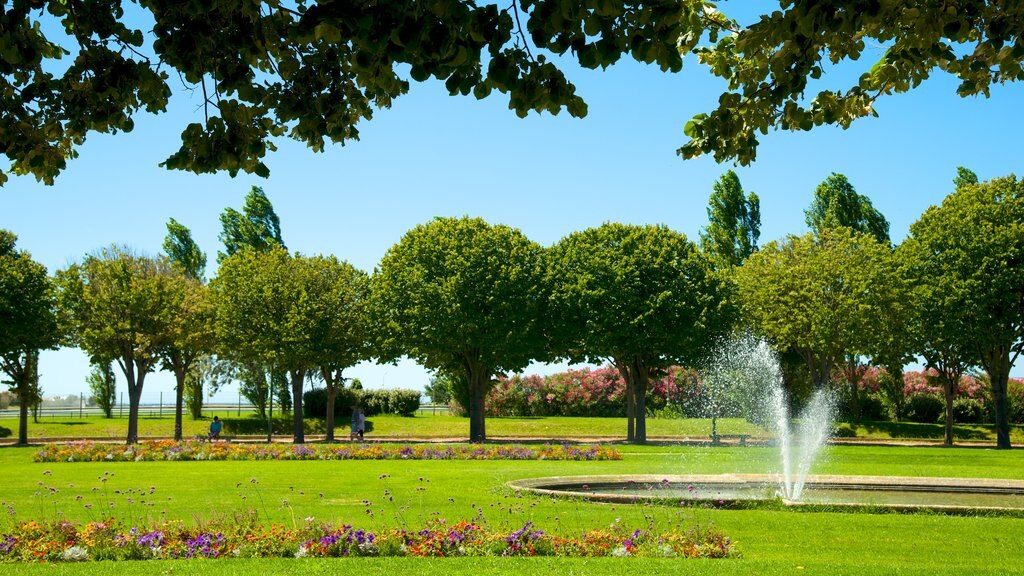 Parc Borely mostrando um jardim, flores e uma fonte