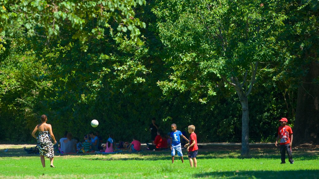 Parc Borély mettant en vedette un parc aussi bien que un petit groupe de personnes