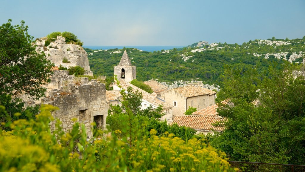 Chateau des Baux có tính năng lâu đài, hoa và rừng rậm