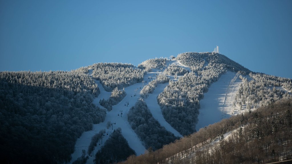 Killington Ski Resort showing forest scenes, mountains and snow