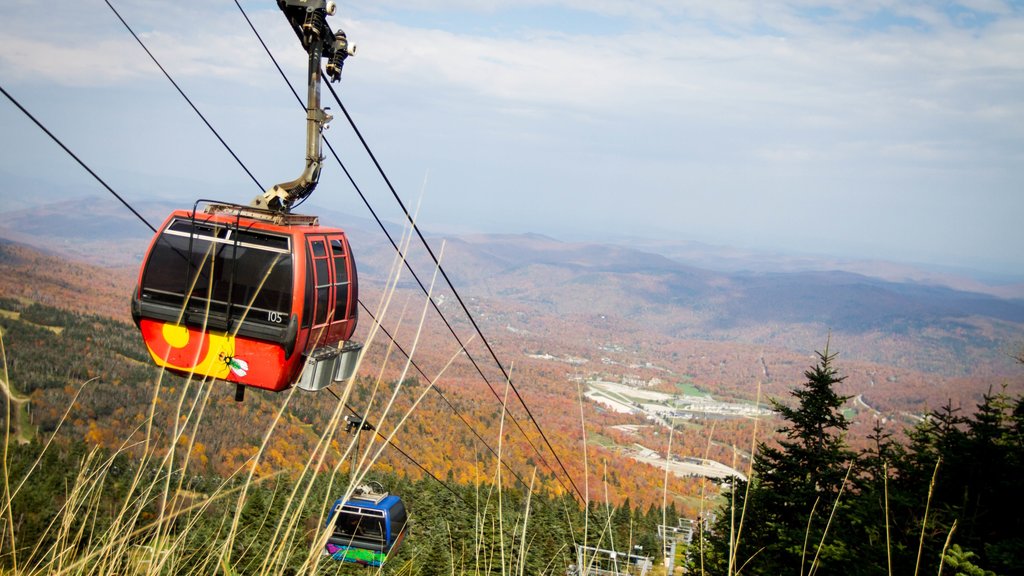 Killington Ski Resort que incluye los colores del otoño, una góndola y escenas forestales