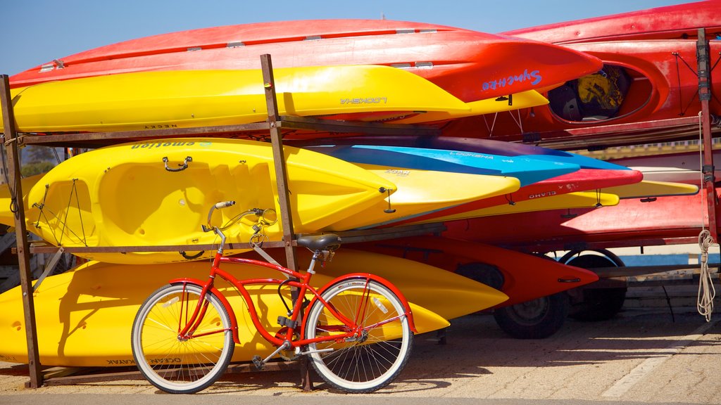 Santa Cruz showing water sports